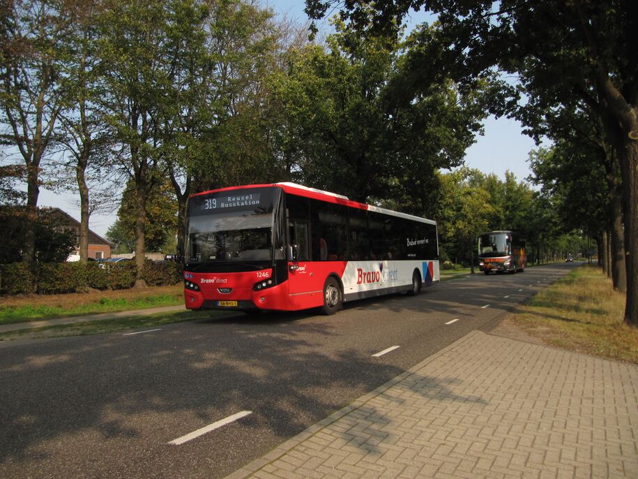 Lijn 319; bus 1246; Hapertseweg, Duizel
