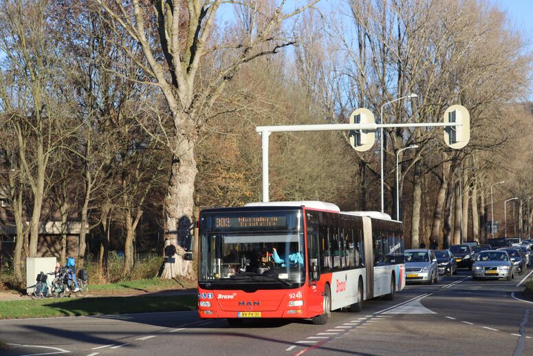 Bestand:9246-303.jpg