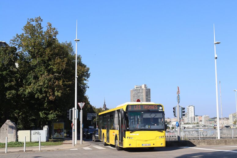 Bestand:5495-3.jpg