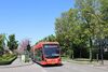 1038-316.jpg