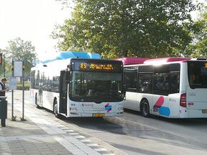 hoofd tyfoon Bijdrage Lijn 85 Nijmegen Centraal Station - Druten Busstation - OV in Nederland Wiki