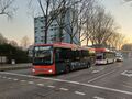 Miniatuurafbeelding voor de versie van 5 mrt 2025 om 22:18