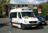 Lijn462 Dn.jpg