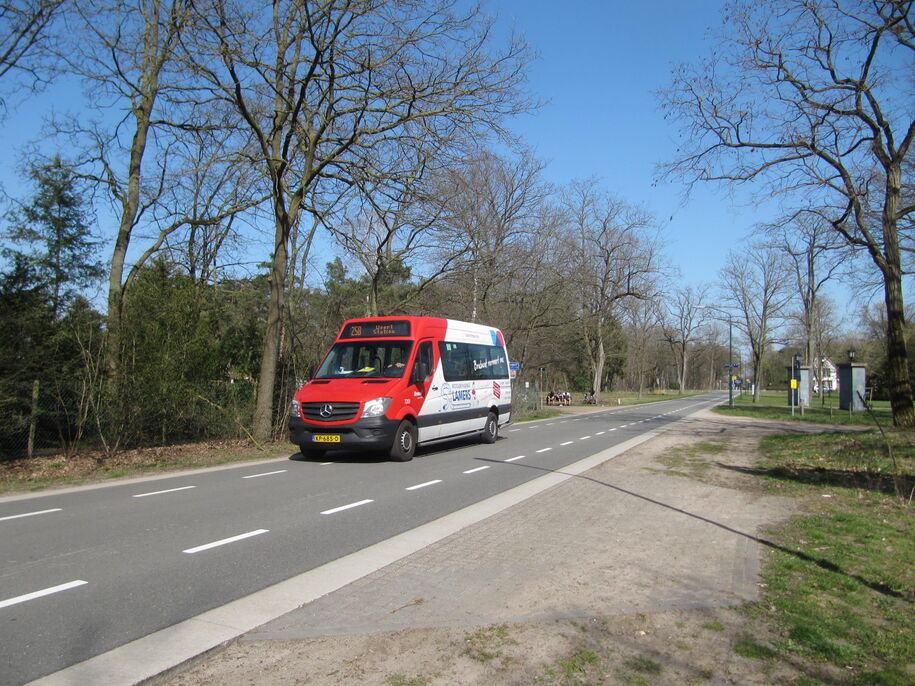 Lijn 258; bus 7203; Albertlaan, Sterksel