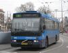 5176.jpg